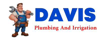 Trusted plumber in IRENE